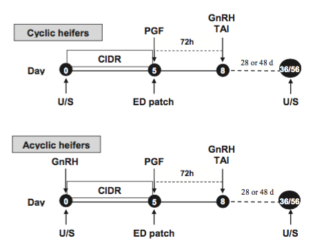 Evaluering van 'n gewysigde GnRH-gebaseerde Timed-AI-protokol wat verband hou met die opsporing van erstrus by vleisverse geïnsemineer met geslagsgekose of konvensionele semen